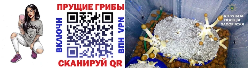 Галлюциногенные грибы мицелий Иваново